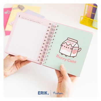 Grupo Erik Pusheen Mačacie zošit s domácimi úlohami 2026 2027 Kalendár Školský plánovač
