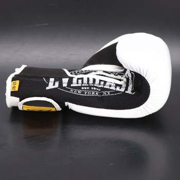 Boxerské rukavice Everlast 1910 Classic Leather, na boxovacie vrece a Focus Mitt, zapínanie na suchý