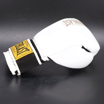 Boxerské rukavice Everlast 1910 Classic Leather, na boxovacie vrece a Focus Mitt, zapínanie na suchý