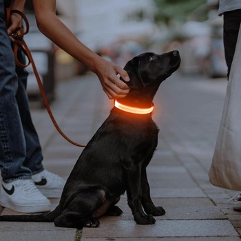 Illumifun dobíjací LED obojok pre psov, vodotesný svietivý obojok pre malých i veľkých psov, svetlá pre