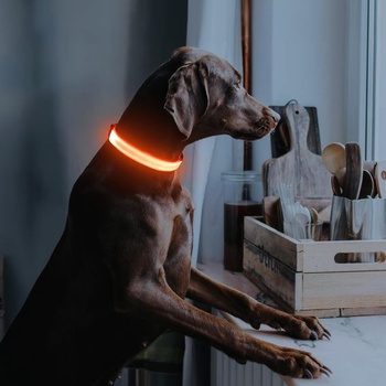 Illumifun dobíjací LED obojok pre psov, vodotesný svietivý obojok pre malých i veľkých psov, svetlá pre