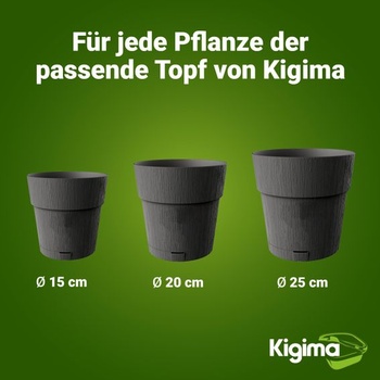 Kigima květináč, květináč, sada 3 kusů, samozavlažovací nádrž na vodu, 100% recyklovaný plast,