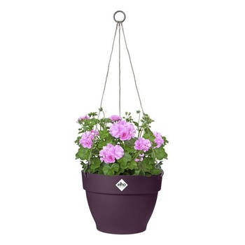 Elho vibia campana závěsný květináč 26 cm - javor fialový javor fialový 26 cm