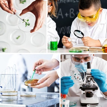 60 kusov plastových Petriho misiek, 35mm, 60mm, 90mm Petriho misky s prenosovými pipetami a