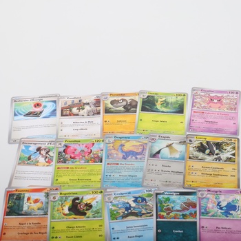 Pokémon: Illumi's Mini Tin - Alligator a Rozbouton (2 boostery, 1 umelecká karta a 1 stránka s
