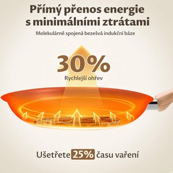 Sada panvíc N90031LID, 20/24/28 cm, 2 pokrievky, indukčná, šedá - N