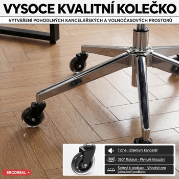 Ergonomická kancelárska stolička s 3D opierkou hlavy ER-25W05-03-EU, nosnosť do 120 kg, šedá - A