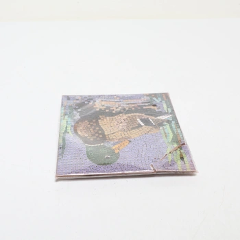 Mozaika Alea 20 x 20 cm násenná