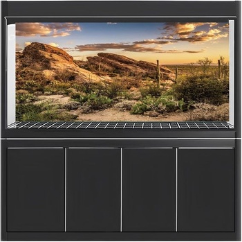 MIRRORANG 120x50cm Pozadí pro plazy, modrá obloha, oáza, kaktus, slunce a poušť, terárium, vinylové