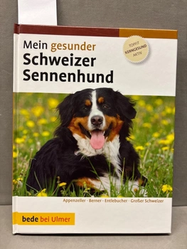 Dominik Kieselbach: Mein gesunder Schweizer