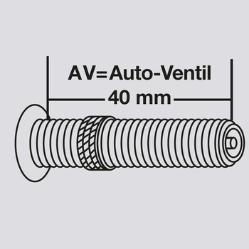 Duša na bicykel Fischer 26 palcov, 40/62-559, AV 22