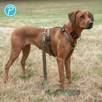 Pletenie na hračky Petlando Hundeleine 2m easy, Basic Comfort, Champagner, L (230x3cm) Champagner L