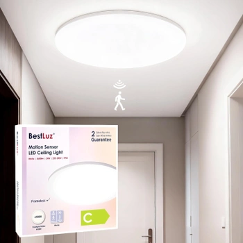 Stropné svietidlo BestLuz BSL-33