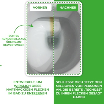 Čistiaci blok 10008Ei WC čistiaci kameň, zelený, 4 kusy