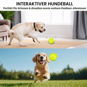 Interaktívna lopta pre psov ALL FOR PAWS, automaticky sa pohybujúca lopta s farebnými LED svetlami,