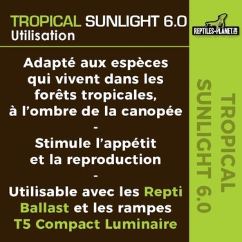 Reptiles Planet T5 UVB 6.0 tropické slnečné osvetlenie pre plazy/obojživelníky, 8 W, dĺžka 29 cm,
