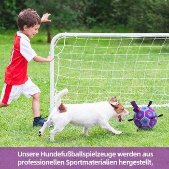 HETOO Psie lopta Hračka pre psov s lanom Futbalová lopta pre psov (15 cm fialová) M Fialová Modrá