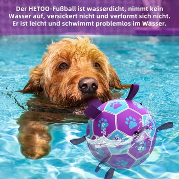 HETOO Psie lopta Hračka pre psov s lanom Futbalová lopta pre psov (15 cm fialová) M Fialová Modrá