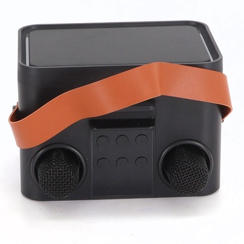 Karaoke systém s 2 mikrofónmi pre dospelých a deti, prenosný Bluetooth karaoke reproduktor pre