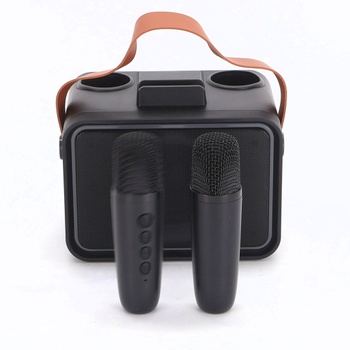 Karaoke systém s 2 mikrofónmi pre dospelých a deti, prenosný Bluetooth karaoke reproduktor pre