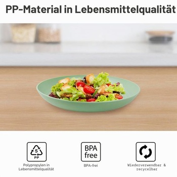 Sada 8 tanierov s priemerom 25 cm, nerozbitné jedálenské taniere, opakovane použiteľné taniere, ľahké