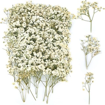 Gypsophila 130 kusov sušených kvetov, baby's breath, biele, mini kvety, prírodné s pinzetou, vďaka