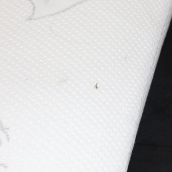 Polštář Todocama 75cm bílý 2ks