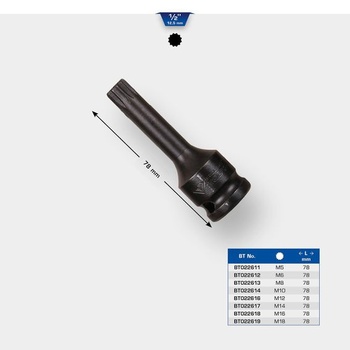 BRILLIANT TOOLS BT022612 1/2 palcový nástrčný kľúč XZN M6 [Vyrobené KS TOOLS]