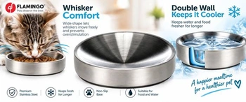 Miska pro kočky - Miska z nerezové oceli Muscat Silver - Dvoustěnná a protiskluzová - 270 ml