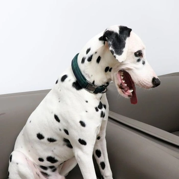 Obojek pro psy Unikátní styl Paws, Nastavitelné obojky nebo vodítka pro psy a kočky, Malý, Střední,