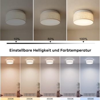 Stropní svítidlo AMZSTORY LED Ceiling Lamp