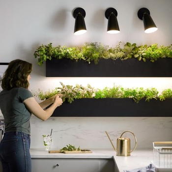 Rastlinná lampa Briignite, LED pestovateľské svetlo, plné spektrum, E27, BR30, 12W