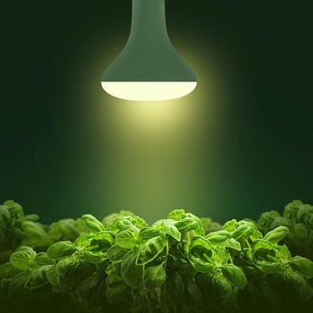 Rastlinná lampa Briignite, LED pestovateľské svetlo, plné spektrum, E27, BR30, 12W