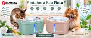 Fontána pro kočky - Flamingo Finto zelená - 2,5 l - plastová - super tiché čerpadlo s automatickým