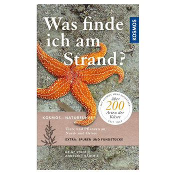 Heinz Streble: Was finde ich am Strand?