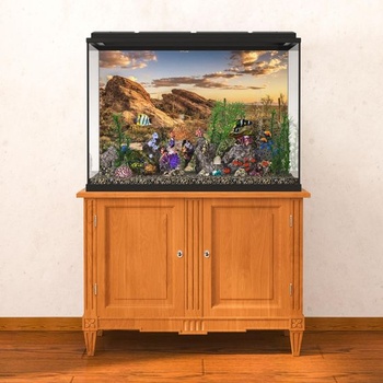 61x30cm pozadie pre plazy, modrá obloha, oáza, kaktus, slnko a púšť, terárium, vinylové pozadie