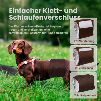 Barevné pleny pro psy vel. XS Pet Soft