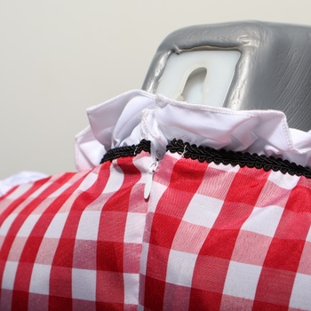 Dámsky kostým dirndl na Oktoberfest, kostým slúžky, kostým nemeckého pivného festivalu, bavorské