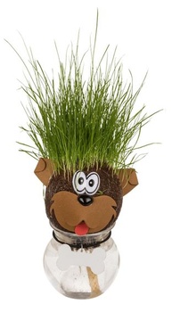 Neznáma generická hlava trávnych zvierat, rôzne modely