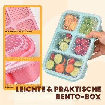 Bento svačinový box se 4 přihrádkami, 5přihrádkové svačinové nádoby, Bento obědové boxy s