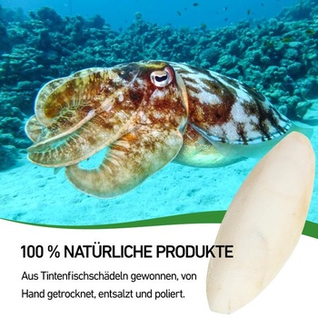 10 sépiových kostí pro želvy, ptáky a šneky, 8–11 cm, k ohlodání