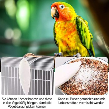 10 sépiových kostí pro želvy, ptáky a šneky, 8–11 cm, k ohlodání