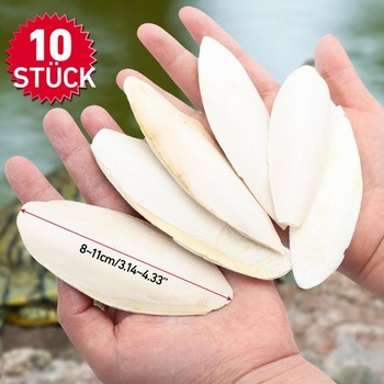 10 sépiových kostí pro želvy, ptáky a šneky, 8–11 cm, k ohlodání