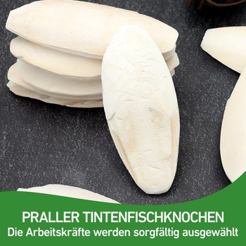 10 sépiových kostí pro želvy, ptáky a šneky, 8–11 cm, k ohlodání