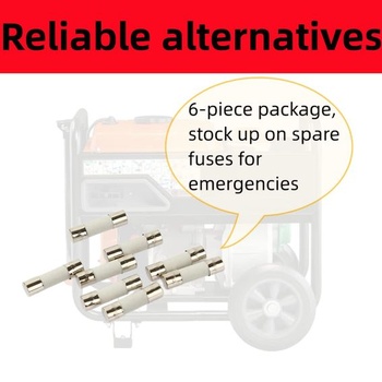 Náhradné poistky pre Generac, nahrádzajú 1000005117, 6,3 A, 250 V AC, 5 mm x 20 mm, 6,3 A (balenie 6