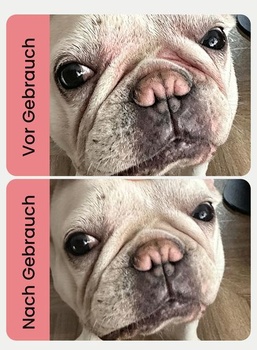GJYC PET Bulldog Wrinkle Care, balzam na vrásky pre buldogov a mopsov, 30 g