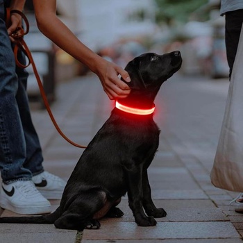 Illumifun LED obojek pro psy, dobíjecí, vodotěsný, svítivý obojek pro malé i velké psy, světla pro