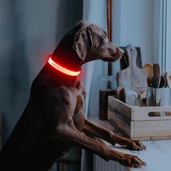 Illumifun LED obojek pro psy, dobíjecí, vodotěsný, svítivý obojek pro malé i velké psy, světla pro