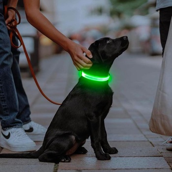 Illumifun LED obojek pro psy, dobíjecí, vodotěsný, svítivý obojek pro malé i velké psy, světla pro