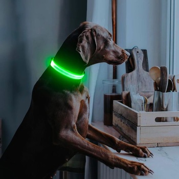 Illumifun LED obojek pro psy, dobíjecí, vodotěsný, svítivý obojek pro malé i velké psy, světla pro